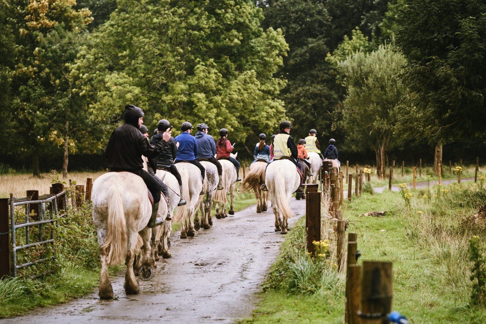 Passeggiata a cavallo del Capitolo di Roma di Epic Routes Community lungo un sentiero nella campagna del Lazio