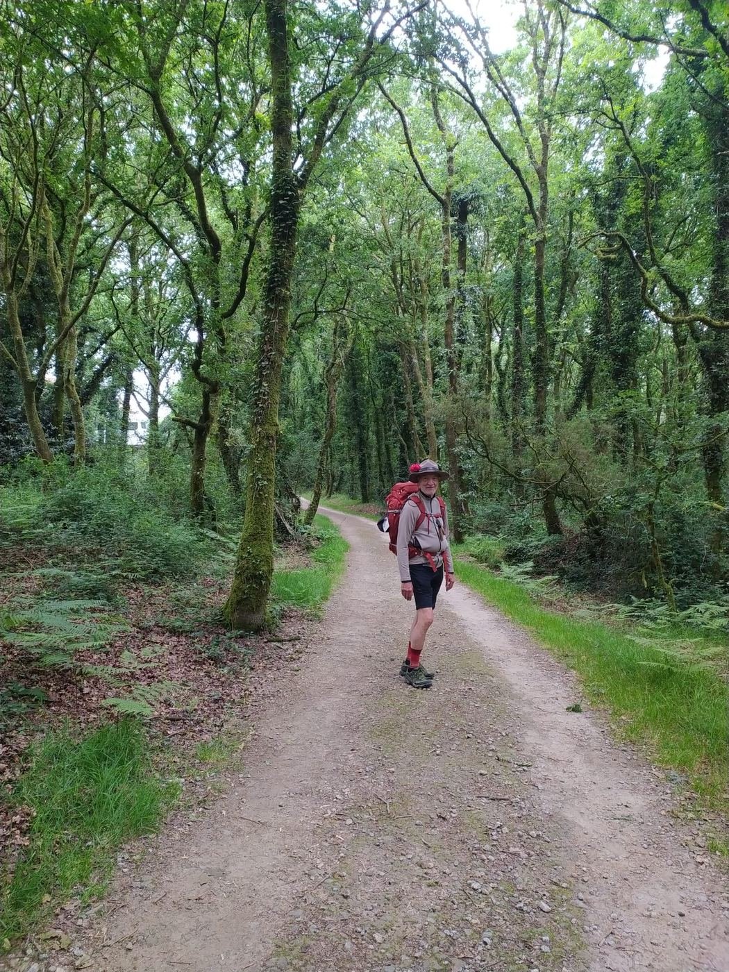 Un pellegrino sorridente con lo zaino rosso lungo un sentiero nel bosco della Galizia, sul Cammino di Santiago