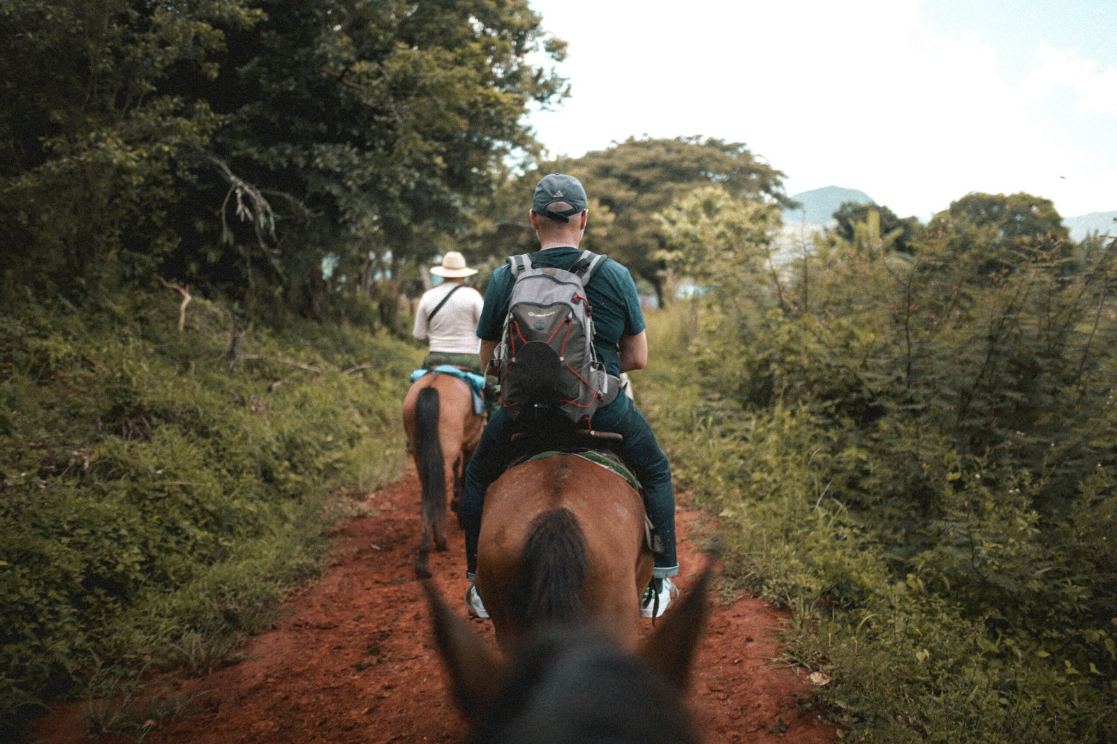 Passeggiata a cavallo del Capitolo di Taranto di Epic Routes Community lungo un sentiero nella campagna pugliese