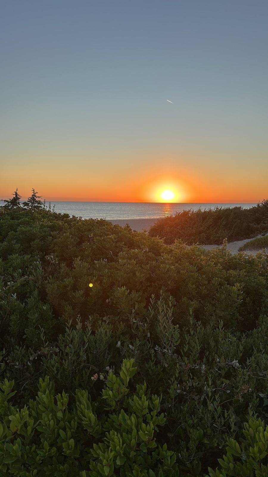 Il sole tramonta sul mare Ionio dietro la macchia mediterranea delle dune di Marina di Ugento