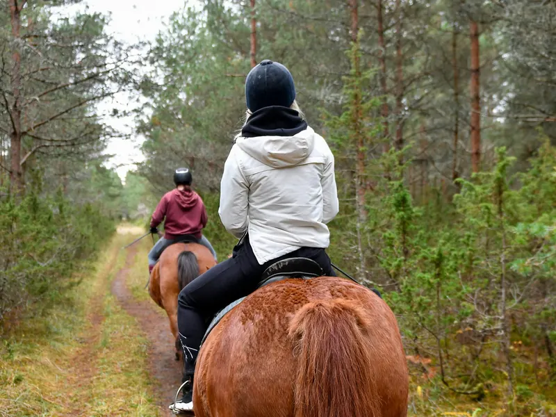 Passeggiata a cavallo del Capitolo di Milano di Epic Routes Community nella campagna lombarda